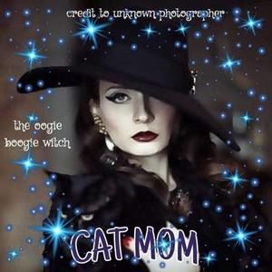 Meet your Posher, Carol